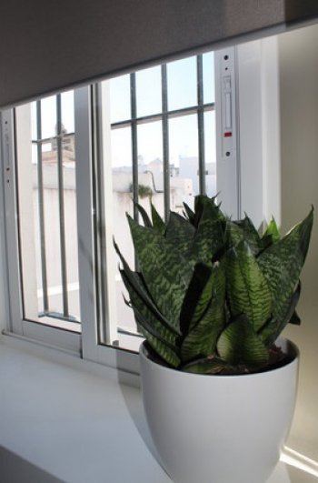 Acogedor apartamento con terraza en el casco histórico de Cádiz ce (4)