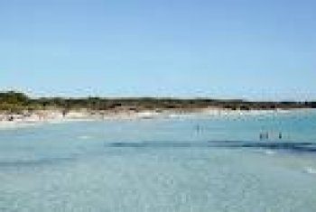 PLANTA BAJA ENFRENTE DEL MAR  ALQUILO POR SEMANAS (1)