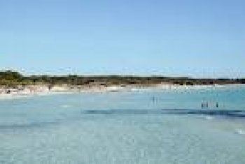 PLANTA BAJA ENFRENTE DEL MAR ALQUILO POR SEMANAS