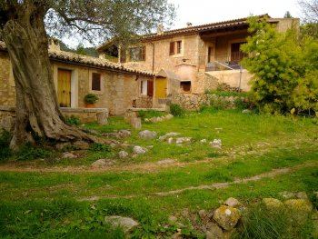 Finca en entorno natural con posibilidad de alquilar una o dos casas rústicas