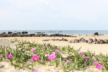 playa tregandin a 40 m