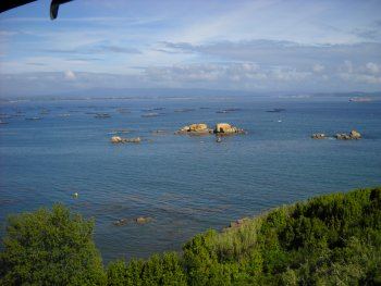 ALQUILER APARTAMENTO EN VERANO EN PALMEIRA - RIBEIRA