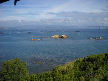 VISTAS DESDE LA TERRAZA