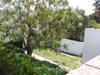 Chalet adosado en Valdelagrana (1)