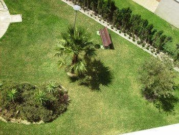 Apartamento playa - garaje - terraza - piscina (4)