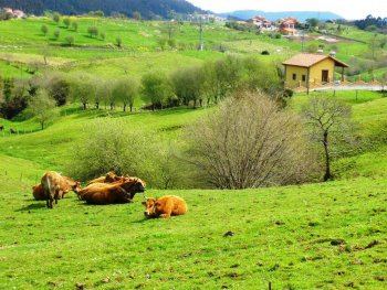 Casa rural
