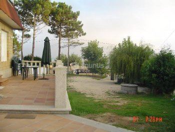 Terraza y jardín