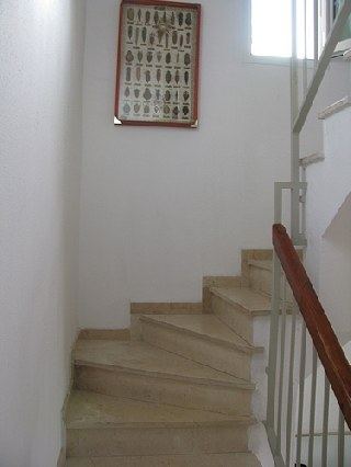 escalera de acceso a la planta superior (dormitorios)