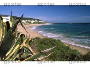 Alquiler vacacional barbate - primera linea de playa (1)
