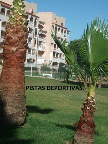 Magnífico apartamento en el portil - solo queda disponible la 1ª quncena de julio