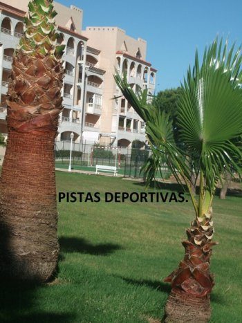 Magnífico apartamento en el portil - solo queda disponible la 1ª q (1)