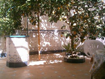 Se alquila casa para vacaciones en guardamar (2)