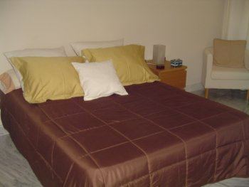 Fantastico apartamento 50 mts de la playa. 2 dormitorios / 2 baños (5)
