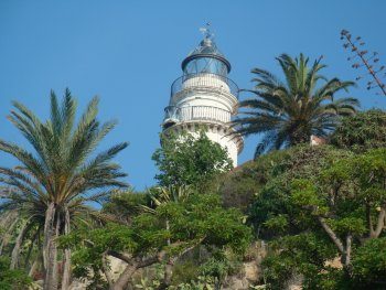 Vista