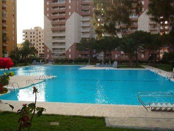 Alquilo bonito apartamento en la playa de canet (2)