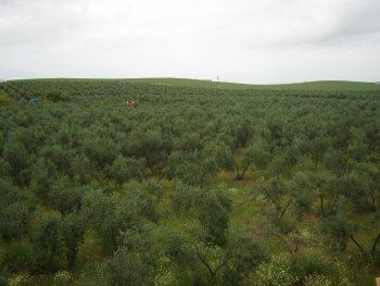Casa rural el rocío