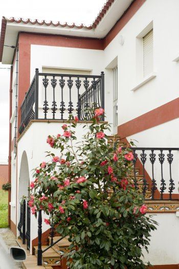 Alquiler casa en palmeira