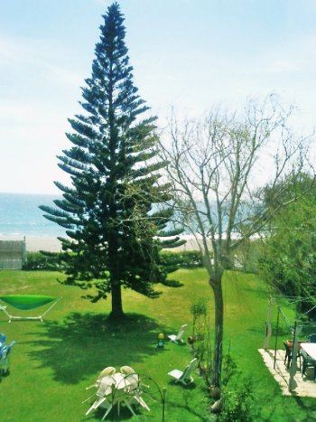 Alquiler casa junto al mar