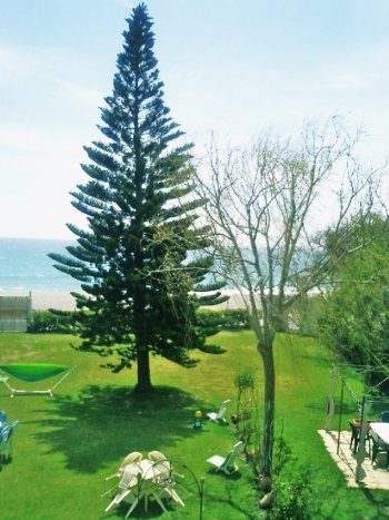 Alquiler casa junto al mar (1)