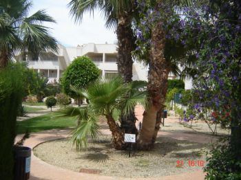apartamento en la playa (4)