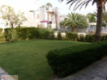 jardin comunitario