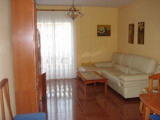 alquiler ideal vacaciones (1)
