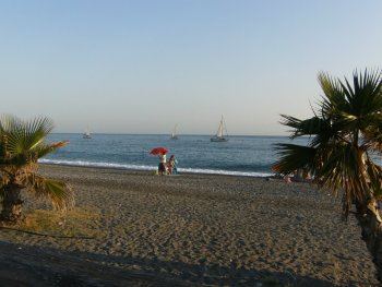 BONITO (2)