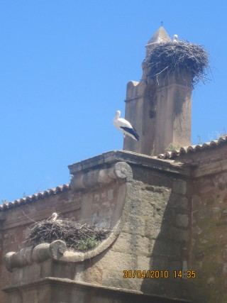 Apartamento Turístico Cazires en Zona Monumental de Cáceres (2)