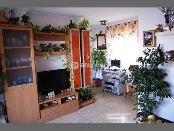 SalÃ³n