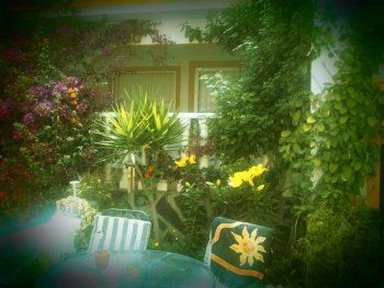 Alquiler bungalo para verano