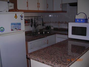 Alquiler apartamento en la mata (3)