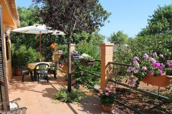 Terraza