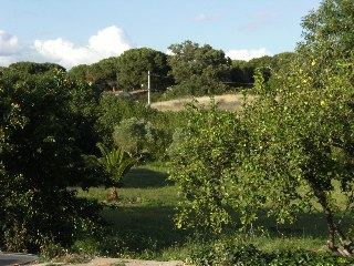 En pleno Parque Natural, a cinco minutos de la playa. (5)