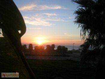 SE ALQUILA APARTAMENTO DE GRAN LUJO EN PLAYA DEL INFANTE -COSTA BA (2)