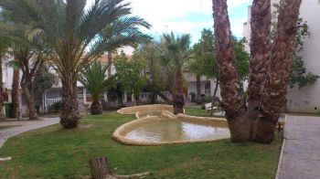 Vista desde el bungalow