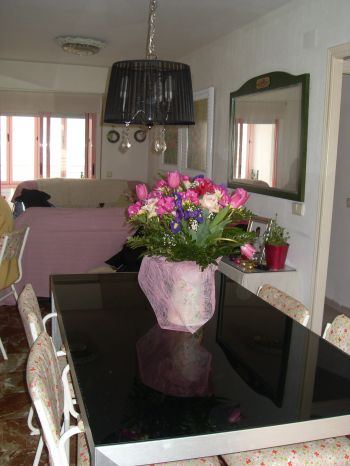 Apartamento en primera linea de playa  (4)