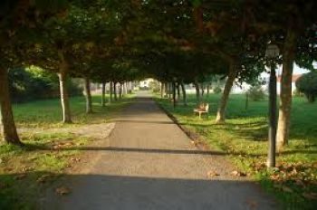 Camino