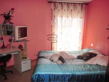habitacion matrimonio