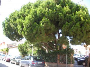 casa con jardin lo pagan