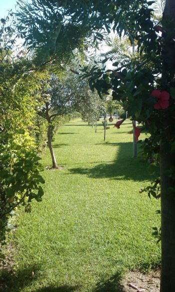 Casa-Duplex en Costa Ballena (3)