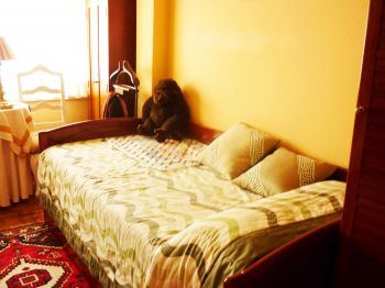 Habitación 1