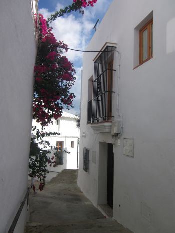 PRECIOSO APARTAMENTO CASCO ANTIGUO VEJER  (2)