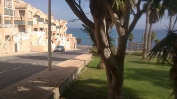 apartamento en la costa blanca (torrevieja) (1)
