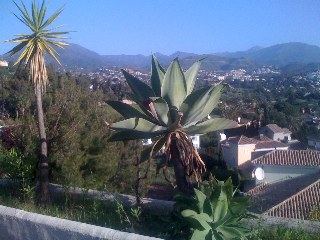 Vistas