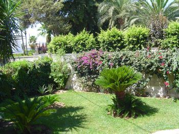 Jardin
