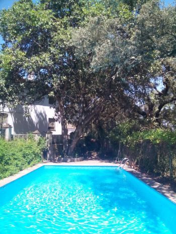 piscina