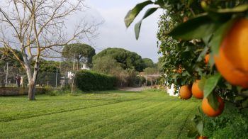 CASA RURAL CERCANA A LAS PLAYAS (3)