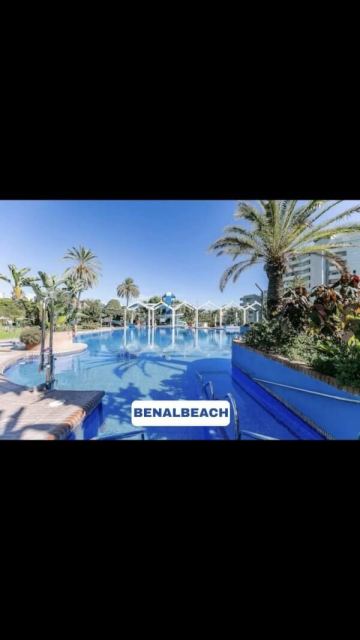 Estudio suite en benalbeach  (4)