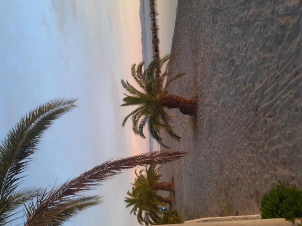 Playa de la casa