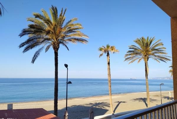 Vista desde la terraza